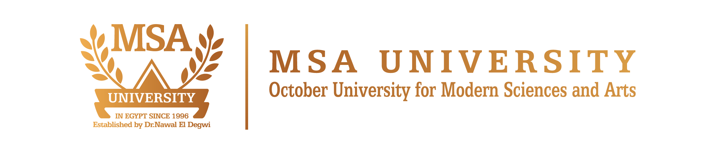 MSA University