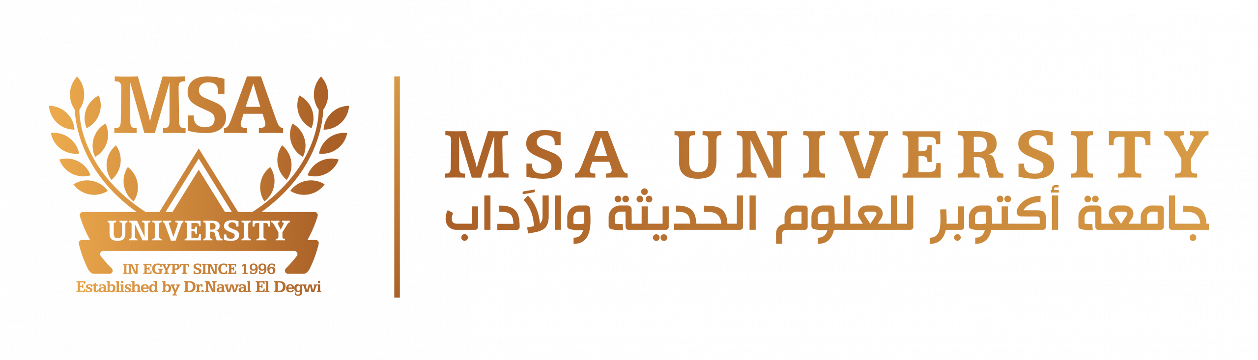MSA University