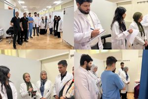 MSA IPE Hub Organizes International Interprofessional Session and Workshop in Collaboration with Al-Zaytoonah University of Jordan