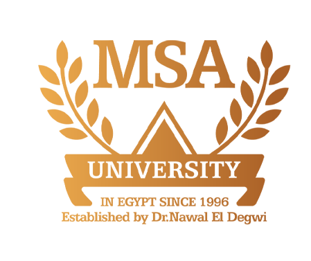 MSA Support Team